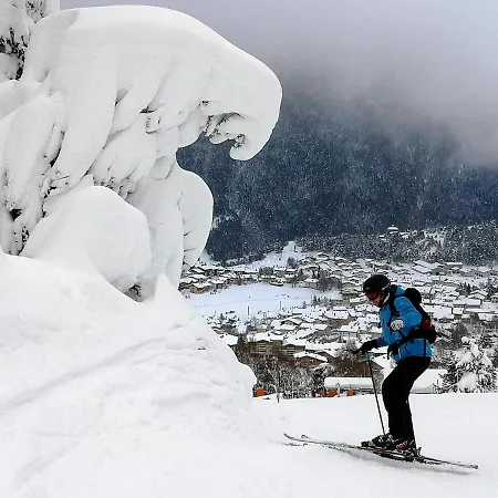 Village De Fleurs Et Neige Parco vacanze 3*