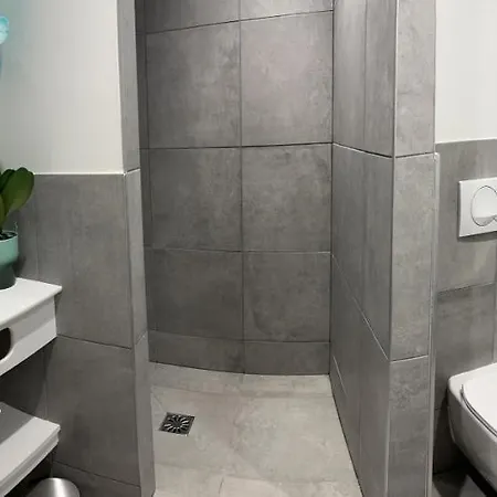 Village De Fleurs Et Neige